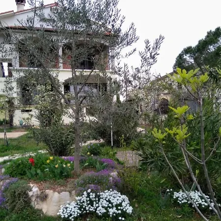 Room Amor Rovinj